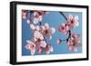 Japanese Bush Cherry-null-Framed Photographic Print