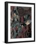 Japanese Butterfly-Mindy Sommers-Framed Giclee Print