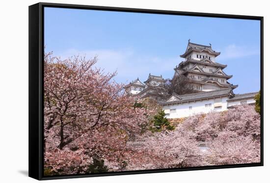 Japanese Castle and Beautiful Pink Cherry Blossom Shot in Japan-aslysun-Framed Stretched Canvas