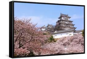 Japanese Castle and Beautiful Pink Cherry Blossom Shot in Japan-aslysun-Framed Stretched Canvas