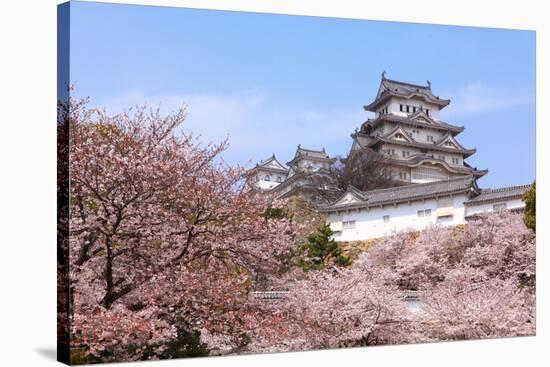 Japanese Castle and Beautiful Pink Cherry Blossom Shot in Japan-aslysun-Stretched Canvas