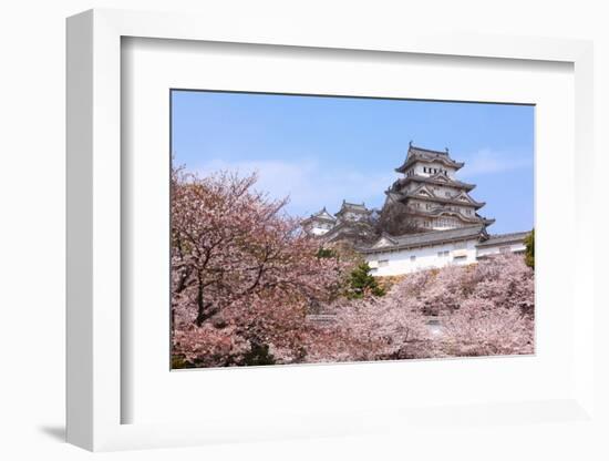 Japanese Castle and Beautiful Pink Cherry Blossom Shot in Japan-aslysun-Framed Photographic Print