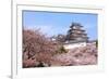 Japanese Castle and Beautiful Pink Cherry Blossom Shot in Japan-aslysun-Framed Photographic Print