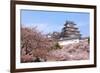 Japanese Castle and Beautiful Pink Cherry Blossom Shot in Japan-aslysun-Framed Photographic Print