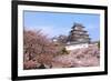 Japanese Castle and Beautiful Pink Cherry Blossom Shot in Japan-aslysun-Framed Photographic Print