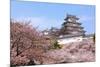 Japanese Castle and Beautiful Pink Cherry Blossom Shot in Japan-aslysun-Mounted Photographic Print