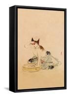 Japanese Cat Bathing-null-Framed Stretched Canvas