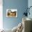 Japanese Cat Shaped Container for Newborn's Clothing and Talisman Against Evil Spirits-null-Mounted Photo displayed on a wall