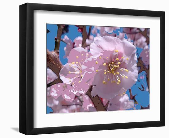 Japanese Cherry Blossom-Yuki Hearn-Framed Art Print