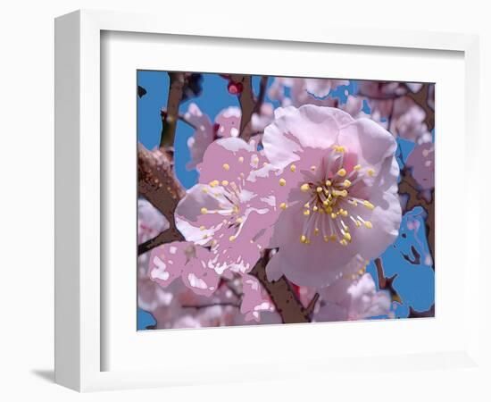 Japanese Cherry Blossom-Yuki Hearn-Framed Art Print