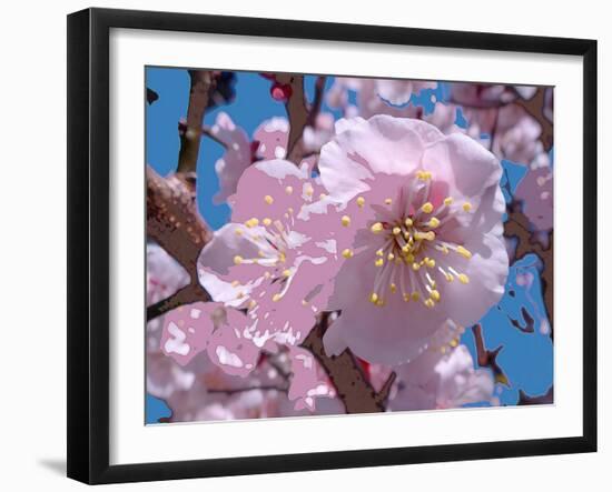Japanese Cherry Blossom-Yuki Hearn-Framed Art Print
