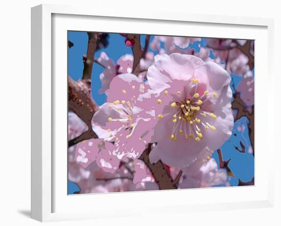 Japanese Cherry Blossom-Yuki Hearn-Framed Art Print