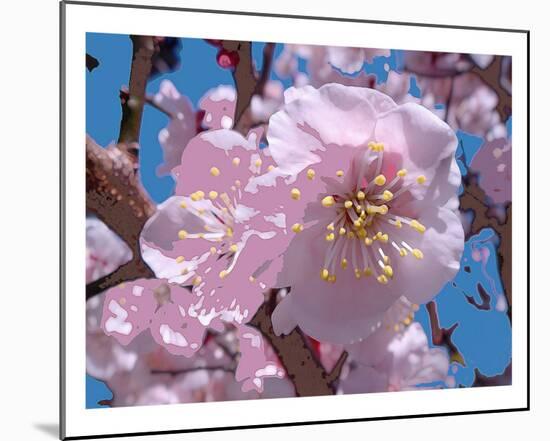 Japanese Cherry Blossom-Yuki Hearn-Mounted Art Print