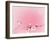 Japanese Cherry Blossoms in Full Bloom-Reshetnyova Oxana-Framed Art Print