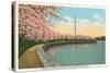 Japanese Cherry Blossoms, Riverside Drive-null-Stretched Canvas