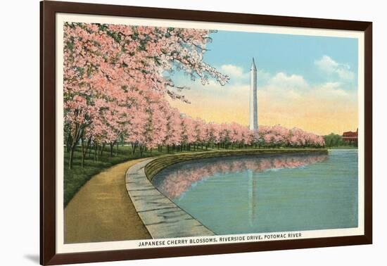 Japanese Cherry Blossoms, Riverside Drive-null-Framed Art Print