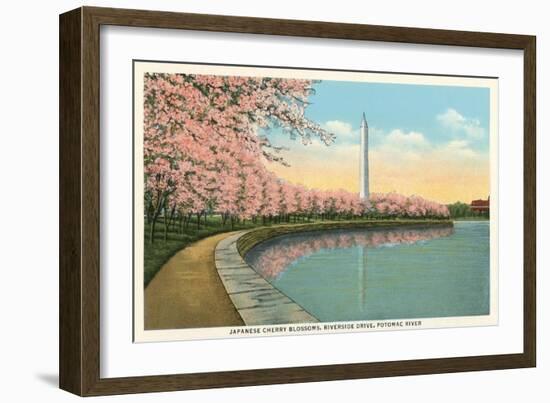 Japanese Cherry Blossoms, Riverside Drive-null-Framed Art Print