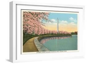 Japanese Cherry Blossoms, Riverside Drive-null-Framed Art Print