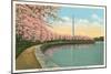 Japanese Cherry Blossoms, Riverside Drive-null-Mounted Art Print