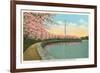 Japanese Cherry Blossoms, Riverside Drive-null-Framed Art Print