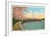 Japanese Cherry Blossoms, Riverside Drive-null-Framed Art Print