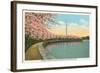 Japanese Cherry Blossoms, Riverside Drive-null-Framed Art Print