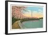 Japanese Cherry Blossoms, Riverside Drive-null-Framed Art Print