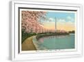 Chelsea White