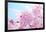 Japanese Cherry Blossoms-gnohz-Framed Photographic Print