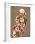 Japanese Cherry Tree Blossom and Leaves-null-Framed Photographic Print