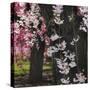 Japanese Cherry-Jessica Jenney-Stretched Canvas