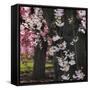 Japanese Cherry-Jessica Jenney-Framed Stretched Canvas