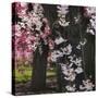 Japanese Cherry-Jessica Jenney-Stretched Canvas