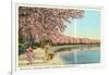 Japanese Children, Cherry Blossoms, Washington D.C.-null-Framed Art Print