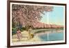 Japanese Children, Cherry Blossoms, Washington D.C.-null-Framed Art Print