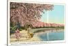 Japanese Children, Cherry Blossoms, Washington D.C.-null-Stretched Canvas