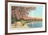 Japanese Children, Cherry Blossoms, Washington D.C.-null-Framed Premium Giclee Print