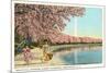 Japanese Children, Cherry Blossoms, Washington D.C.-null-Mounted Premium Giclee Print