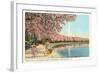 Japanese Children, Cherry Blossoms, Washington D.C.-null-Framed Premium Giclee Print