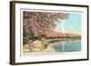 Japanese Children, Cherry Blossoms, Washington D.C.-null-Framed Art Print