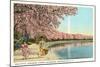 Japanese Children, Cherry Blossoms, Washington D.C.-null-Mounted Art Print