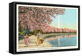 Japanese Children, Cherry Blossoms, Washington D.C.-null-Framed Stretched Canvas