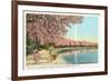 Japanese Children, Cherry Blossoms, Washington D.C.-null-Framed Art Print