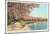 Japanese Children, Cherry Blossoms, Washington D.C.-null-Mounted Art Print