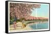 Japanese Children, Cherry Blossoms, Washington D.C.-null-Framed Stretched Canvas