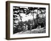 Japanese Children Playing with Bows, Korea, 1900-null-Framed Giclee Print