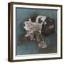 Japanese Chin-Barbara Keith-Framed Giclee Print