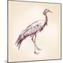 Japanese Crane Hand Drawn Vector Llustration Realistic Sketch-VladisChern-Mounted Art Print