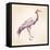 Japanese Crane Hand Drawn Vector Llustration Realistic Sketch-VladisChern-Framed Stretched Canvas