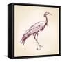 Japanese Crane Hand Drawn Vector Llustration Realistic Sketch-VladisChern-Framed Stretched Canvas